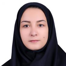 Language, Translation, culture